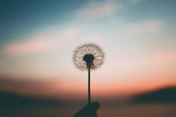 aleksandr-ledogorov-G-JJy-Yv_dA-unsplash-1024x683